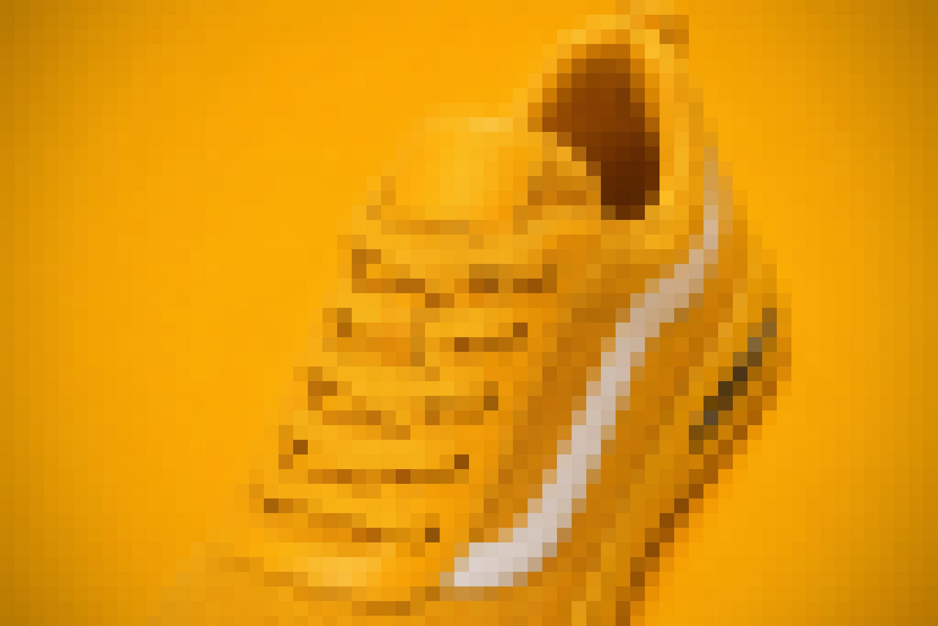 Yolk